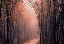 福建男篮击败四川，士气高涨