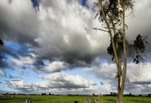 火箭双核合砍+，助球队助力三连胜