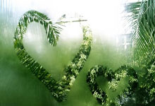 跆拳道选手力压众多对手斩获金牌殊荣