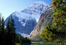 福建男篮击败四川，士气高涨