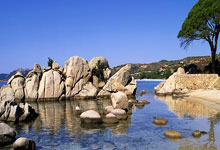 上海主场对阵深圳男篮，球迷期待